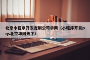 北京小程序开发定制公司华网（小程序开发pqs北京华网天下）
